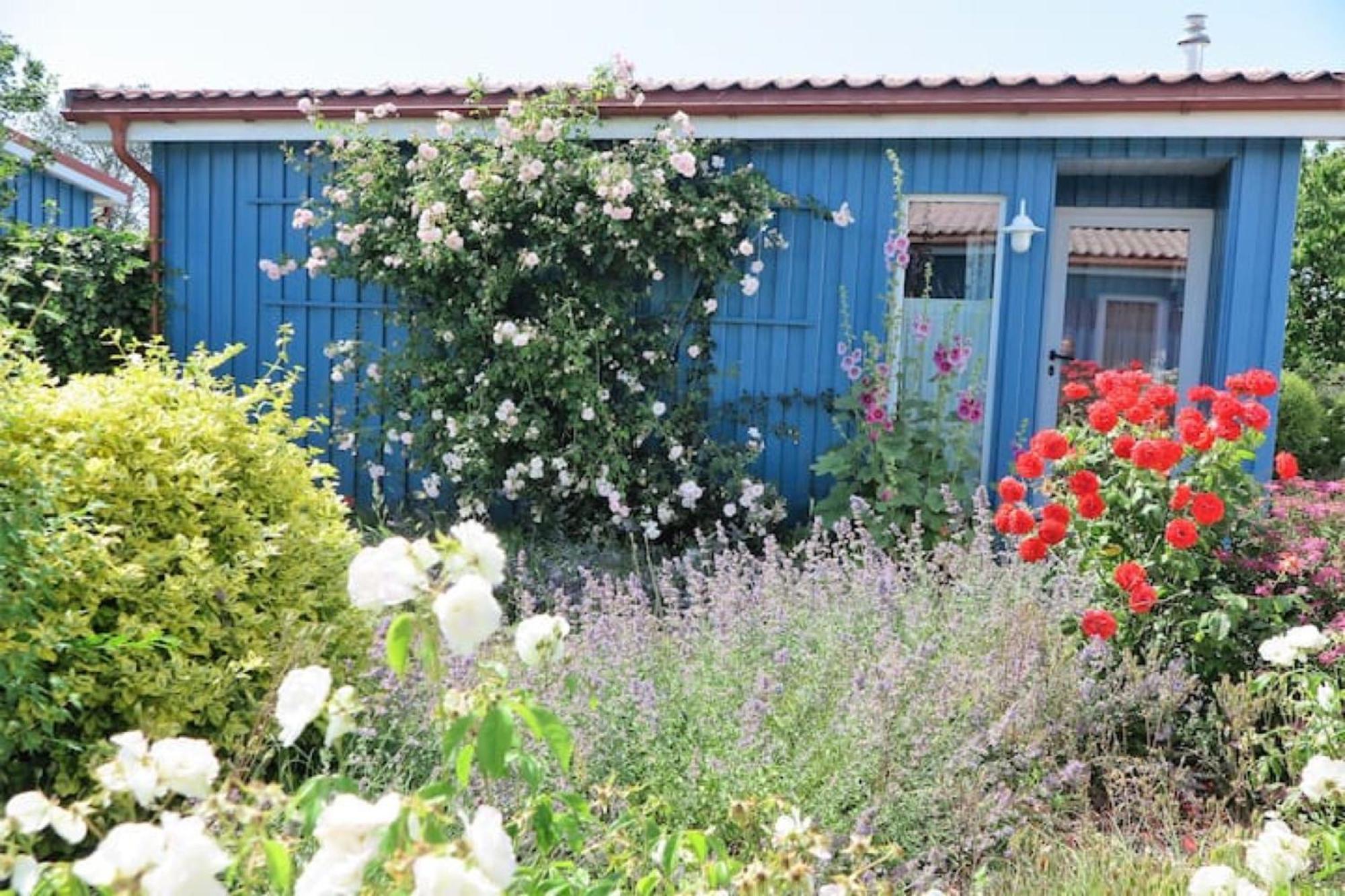 Moeve Aba Bungalow 67 レリク エクステリア 写真